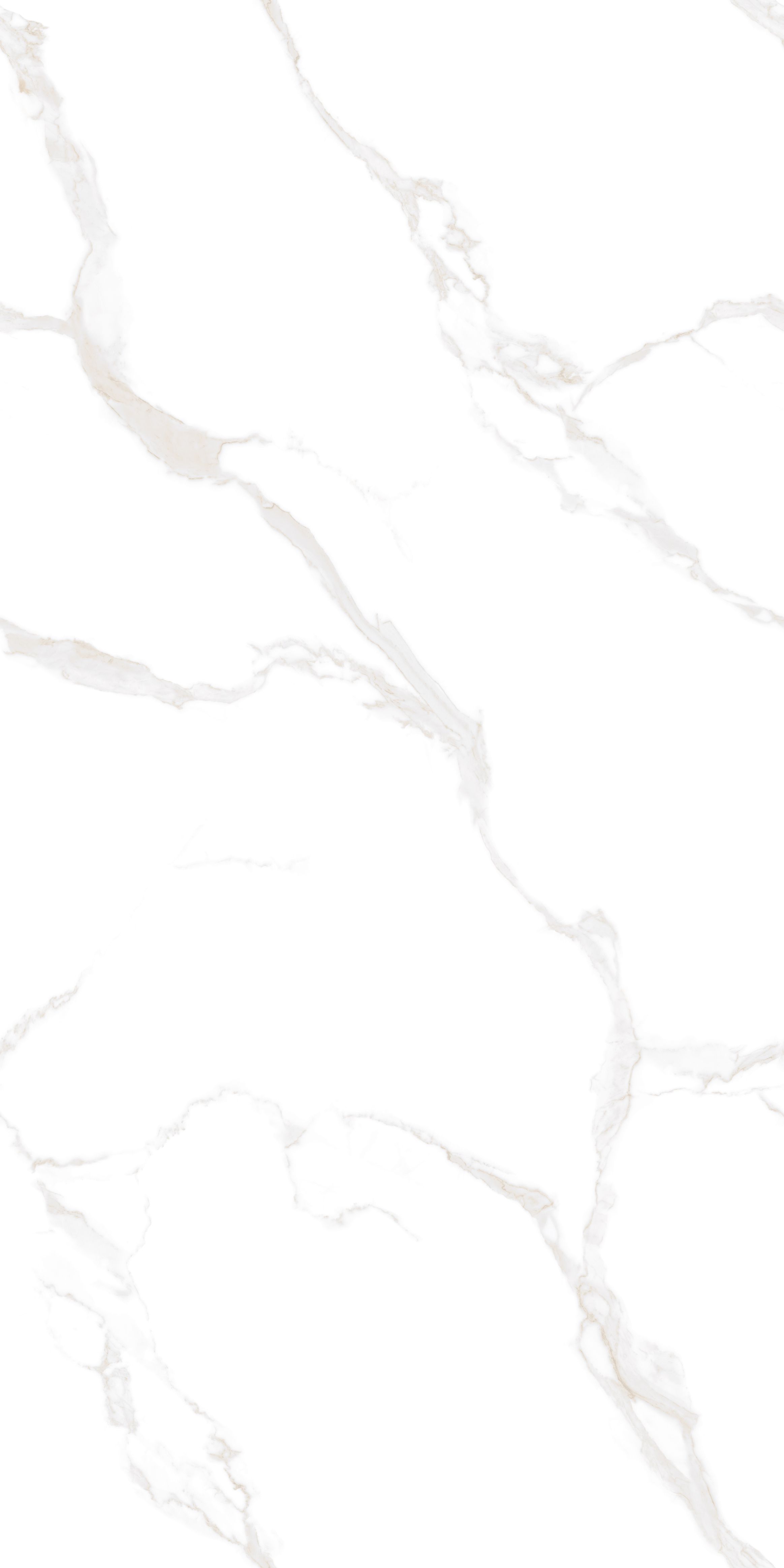 ELENZA BIANCO (P)