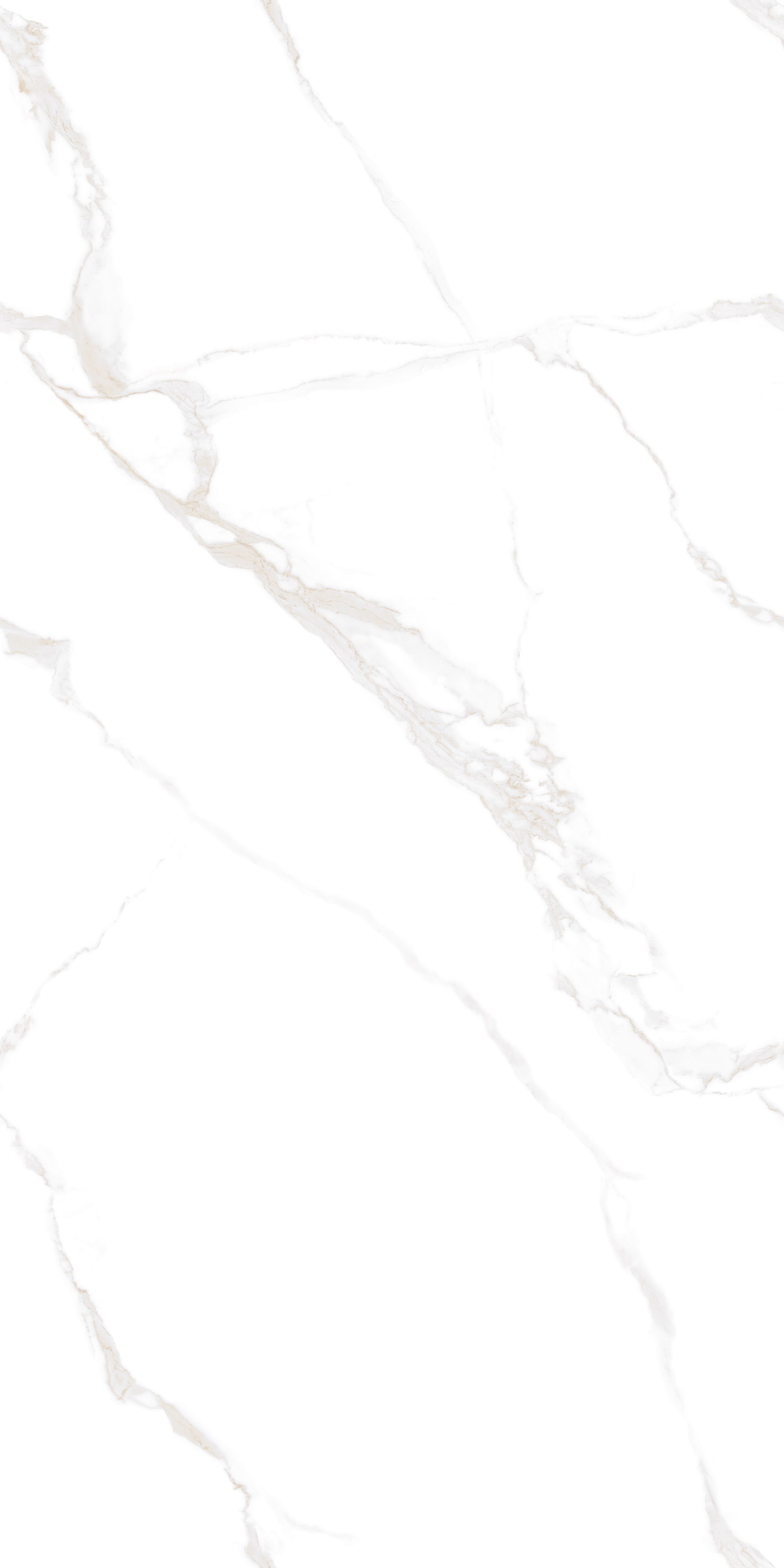 ELENZA BIANCO (P)