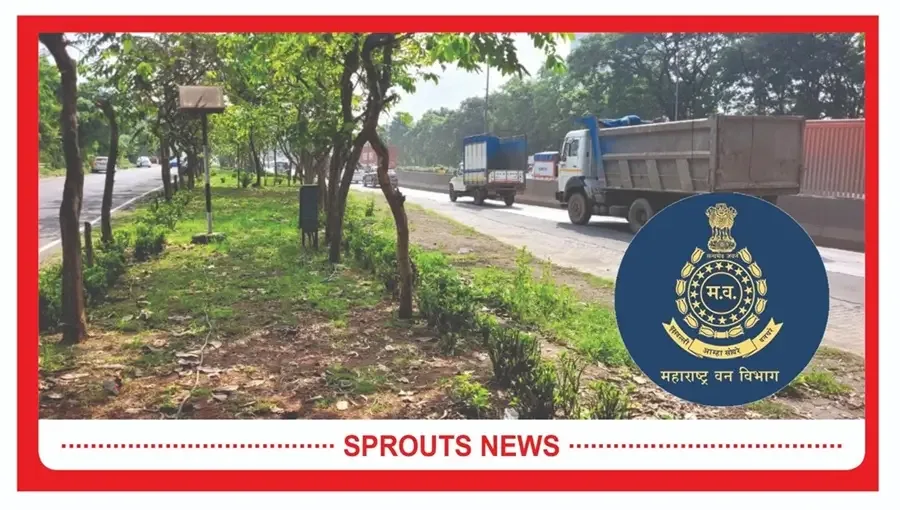Thane Maharashtra Forest Scandal